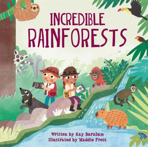 Look and Wonder: Incredible Rainforests Popular Titles Hachette Children's Group
