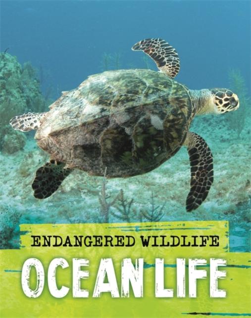 Endangered Wildlife: Rescuing Ocean Life Popular Titles Hachette Children's Group