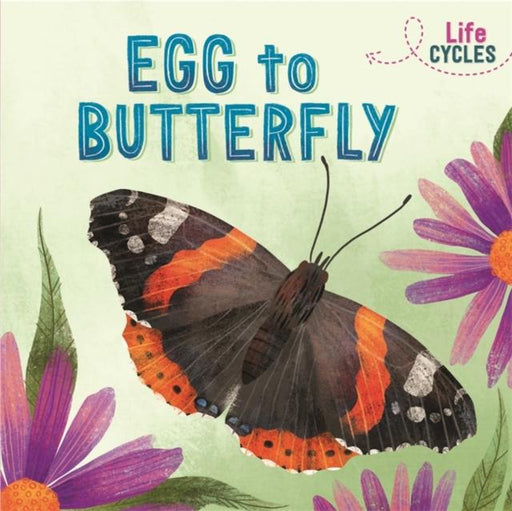 Life Cycles: Egg to Butterfly Popular Titles Hachette Children's Group