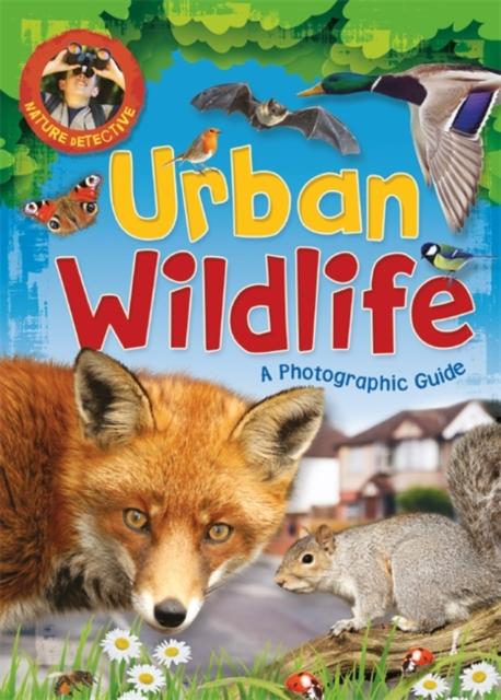 Nature Detective: Urban Wildlife Popular Titles Hachette Children's Group