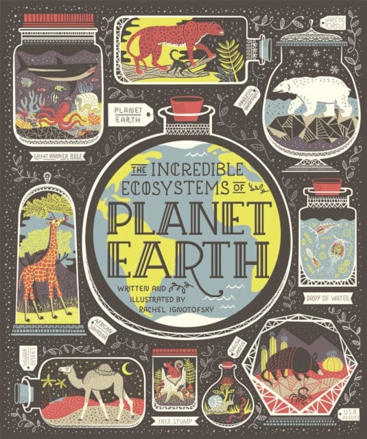 The Incredible Ecosystems of Planet Earth by Rachel Ignotofsky Extended Range Hachette Children's Group