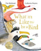 What it's Like to be a Bird by Tim Birkhead Extended Range Bloomsbury Publishing PLC