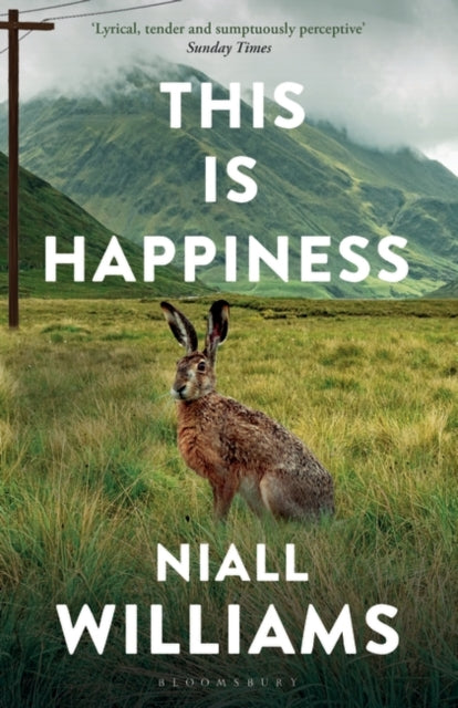 This Is Happiness by Niall Williams Extended Range Bloomsbury Publishing PLC