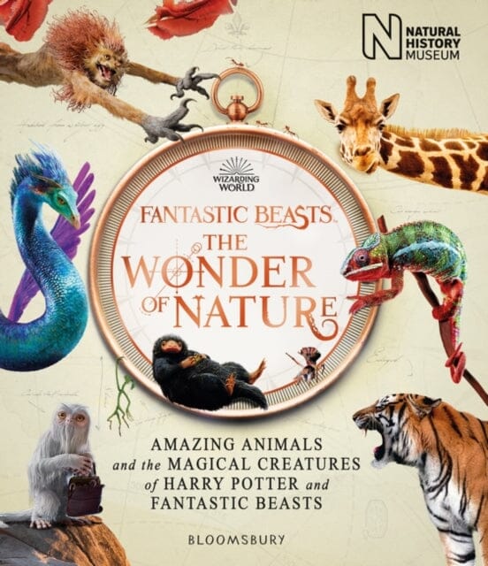 Fantastic Beasts: The Wonder of Nature Amazing Animals and the Magical Creatures of Harry Potter and Fantastic Beasts by Natural History Museum Extended Range Bloomsbury Publishing PLC