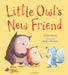 Little Owl's New Friend by Ms Debi Gliori Extended Range Bloomsbury Publishing PLC