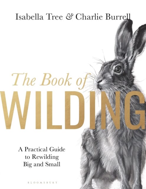 The Book of Wilding : A Practical Guide to Rewilding, Big and Small by Isabella Tree Extended Range Bloomsbury Publishing PLC