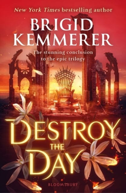 Destroy the Day by Brigid Kemmerer Extended Range Bloomsbury Publishing PLC
