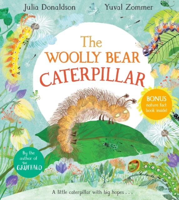 The Woolly Bear Caterpillar by Julia Donaldson Extended Range Pan Macmillan