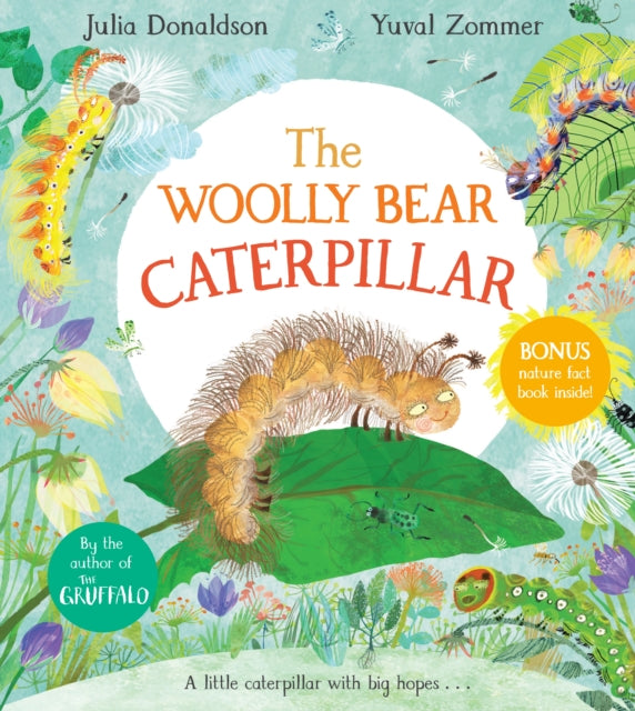 The Woolly Bear Caterpillar by Julia Donaldson Extended Range Pan Macmillan