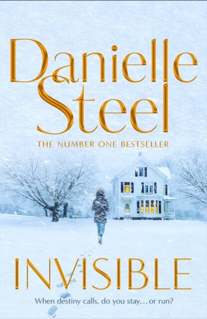 Invisible by Danielle Steel Extended Range Pan Macmillan