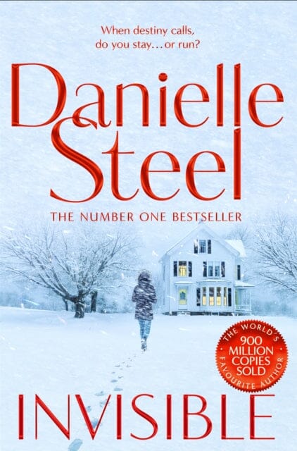 Invisible : A compelling story of ambition and pursuing a dream from the billion copy bestseller Extended Range Pan Macmillan