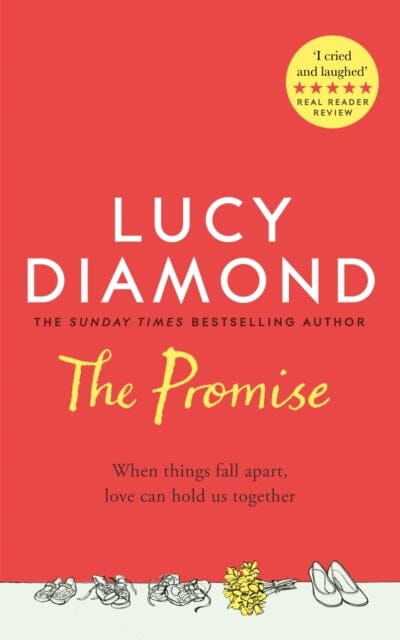 The Promise by Lucy Diamond Extended Range Pan Macmillan