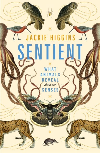 Sentient: What Animals Reveal About Our Senses by Jackie Higgins Extended Range Pan Macmillan