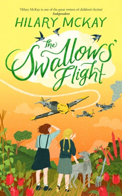 The Swallows' Flight by Hilary McKay Extended Range Pan Macmillan