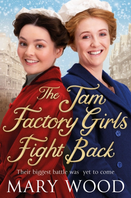 The Jam Factory Girls Fight Back by Mary Wood Extended Range Pan Macmillan