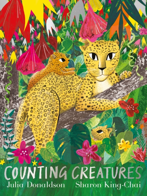 Counting Creatures by Julia Donaldson Extended Range Pan Macmillan