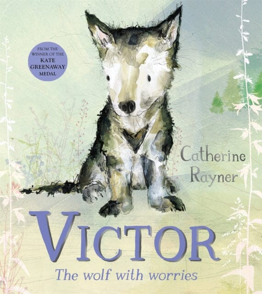 Victor, the Wolf with Worries by Catherine Rayner Extended Range Pan Macmillan