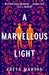 A Marvellous Light by Freya Marske Extended Range Pan Macmillan