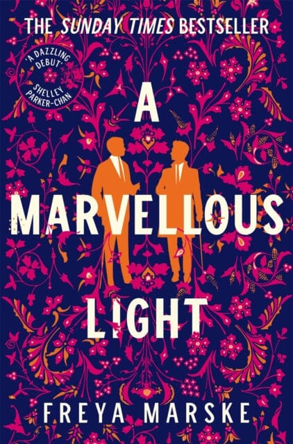 A Marvellous Light : a dazzling, queer romantic fantasy Extended Range Pan Macmillan