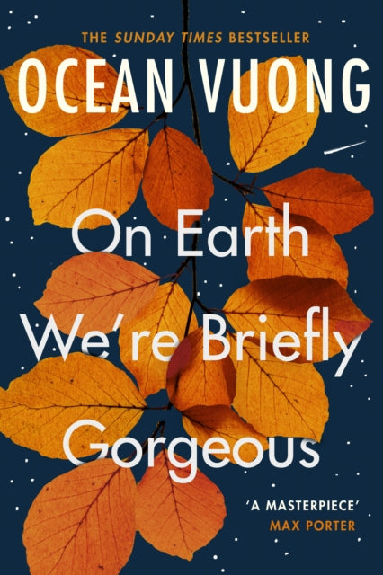 On Earth We're Briefly Gorgeous by Ocean Vuong Extended Range Vintage Publishing