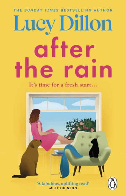 After the Rain by Lucy Dillon Extended Range Transworld Publishers Ltd