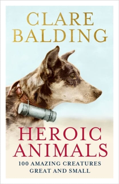 Heroic Animals: Amazing Creatures that Changed Our World by Clare Balding Extended Range John Murray Press