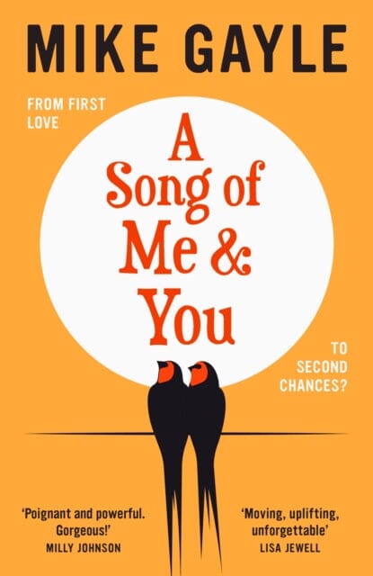 A Song of Me and You : everyone knows this rock star's name: only his first love understands his heart by Mike Gayle Extended Range Hodder & Stoughton