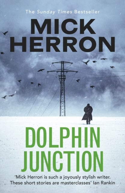 Dolphin Junction Extended Range John Murray Press