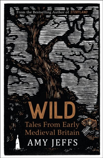 Wild : Tales from Early Medieval Britain by Amy Jeffs Extended Range Quercus Publishing