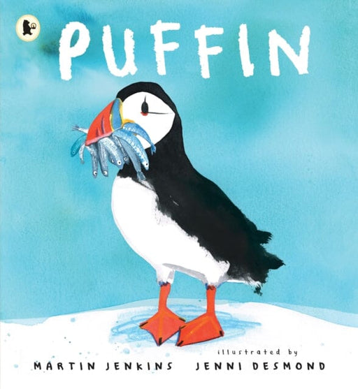 Puffin by Martin Jenkins Extended Range Walker Books Ltd