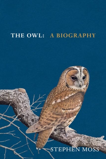 The Owl : A Biography by Stephen Moss Extended Range Vintage Publishing