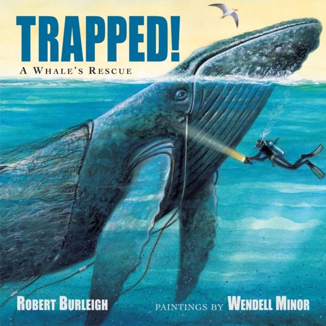 Trapped! A Whale's Rescue Popular Titles Charlesbridge Publishing,U.S.