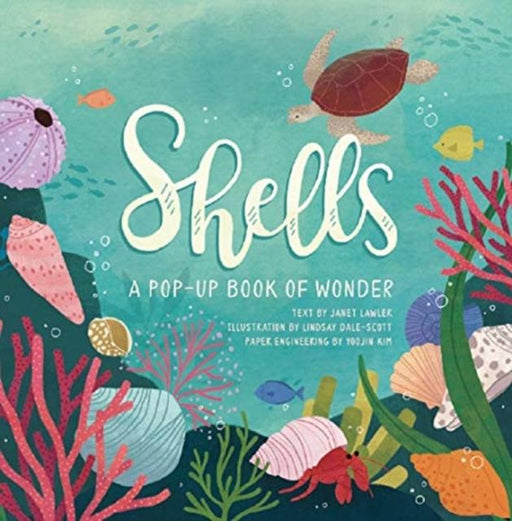 Shells : A Pop-up Book of Wonder Popular Titles Jumping Jack Press
