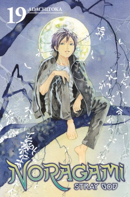 Noragami: Stray God 19 by Adachitoka Extended Range Kodansha America, Inc