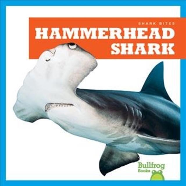 Hammerhead Shark Popular Titles Bullfrog Books