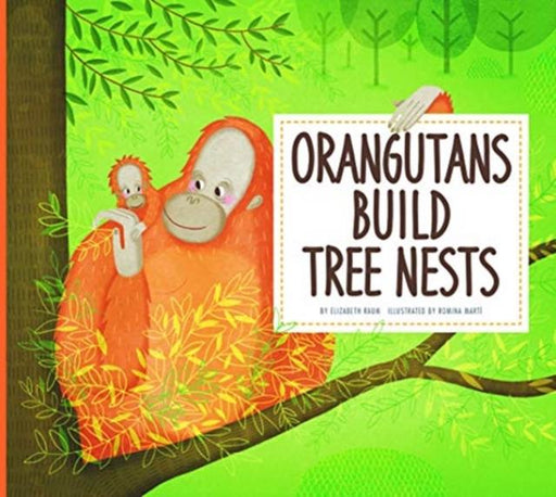 Orangutans Build Tree Nests : Animal Builders Popular Titles Amicus Ink