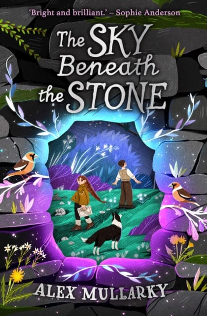 The Sky Beneath the Stone by Alex Mullarky Extended Range Floris Books