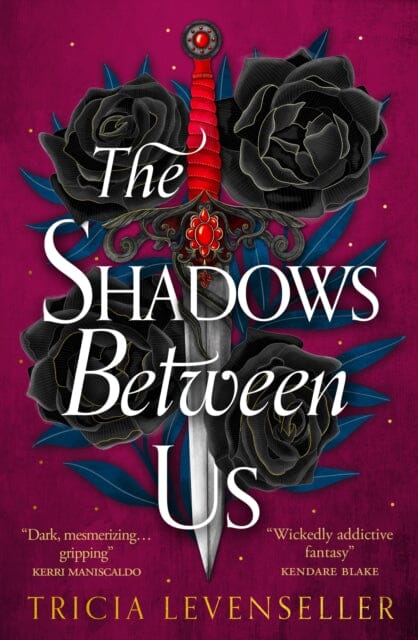 The Shadows Between Us Extended Range Pushkin Children's Books
