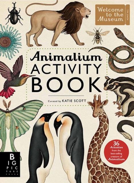Animalium Activity Book Popular Titles Templar Publishing