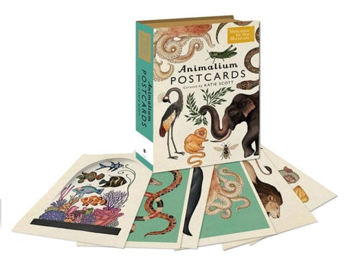 Animalium Postcards by Katie Scott Extended Range Templar Publishing