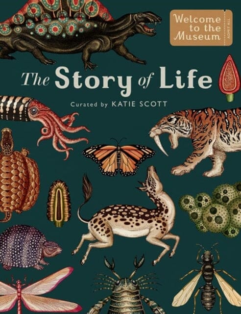 The Story of Life: Evolution (Extended Edition) by Ruth Symons Extended Range Templar Publishing