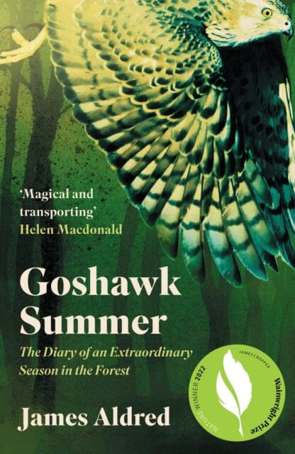 Goshawk Summer by James Aldred Extended Range Elliott & Thompson Limited