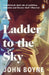 A Ladder to the Sky by John Boyne Extended Range Transworld Publishers Ltd