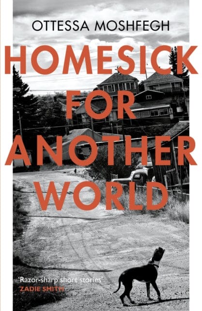 Homesick For Another World by Ottessa Moshfegh Extended Range Vintage Publishing