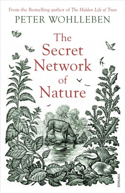 The Secret Network of Nature: The Delicate Balance of All Living Things by Peter Wohlleben Extended Range Vintage Publishing
