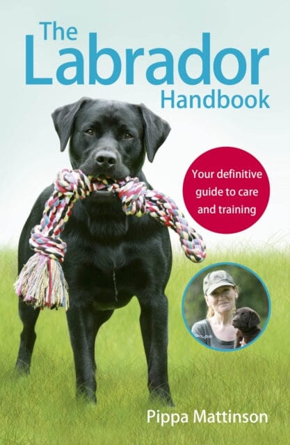 The Labrador Handbook: The definitive guide to training and caring for your Labrador by Pippa Mattinson Extended Range Ebury Publishing