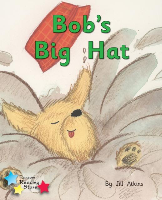 Bob's Big Hat : Phonics Phase 2 Popular Titles Ransom Publishing