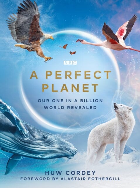 A Perfect Planet by Huw Cordey Extended Range Ebury Publishing