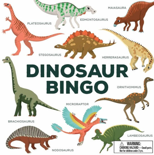 Dinosaur Bingo by Caroline Selmes Extended Range Orion Publishing Co