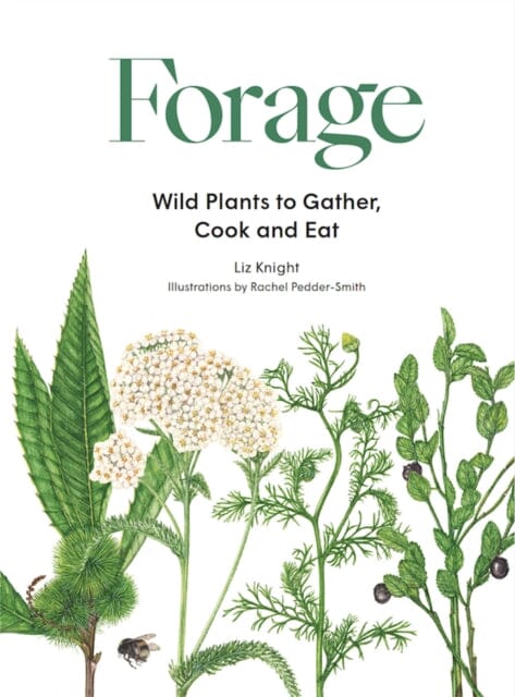 Forage: Wild plants to gather and eat by Liz Knight Extended Range Orion Publishing Co